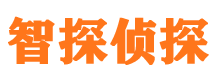 盘山市场调查